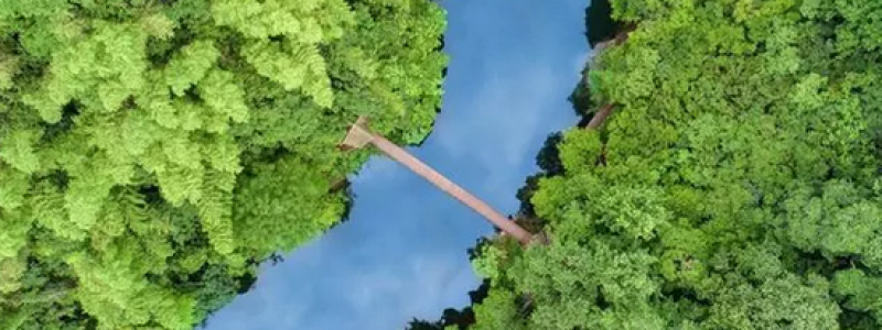 分类： <span>专题</span>